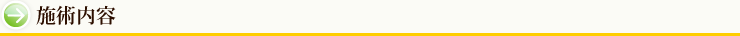 施術内容